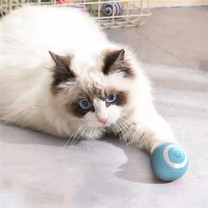 Interactive electric cat ball toy, self-moving, automatic rolling, perfect for training and entertaining your kitten